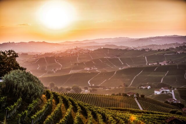 Landascape Barolo Bussia (Medium)