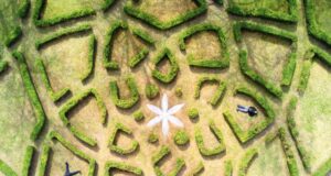 Kunst, Natur und Hartmut Skerbisch