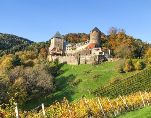 Verborgene Schätze der Natur
